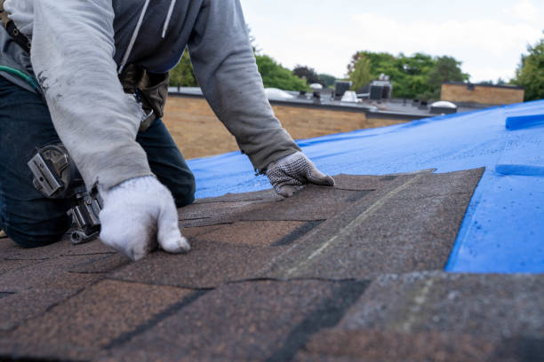 Roof Waterproofing Services in Moorhead, MS